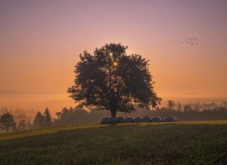 Ambiente: istruzioni per l’uso