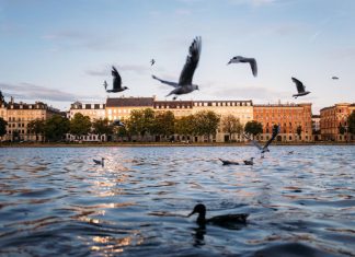 Copenaghen: la città delle meraviglie nordiche