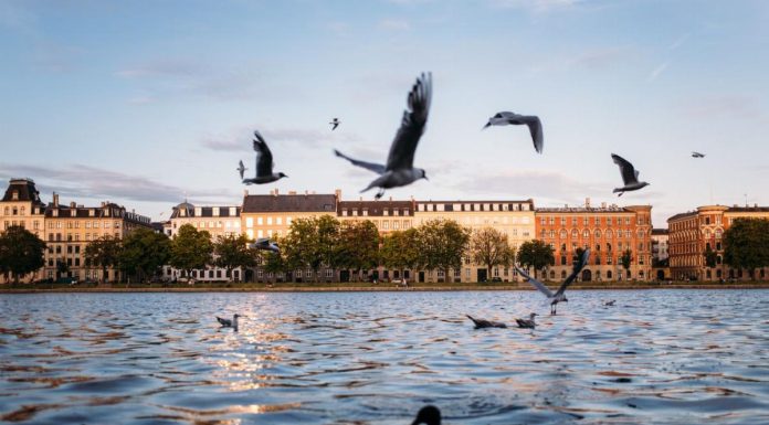 Copenaghen: la città delle meraviglie nordiche