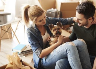 Il tuo animale domestico durante il trasloco animale domestico durante il trasloco