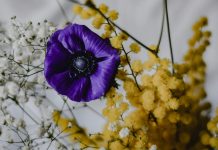 Festa della donna: origini e significato Festa della donna