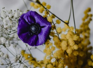 Festa della donna: origini e significato Festa della donna